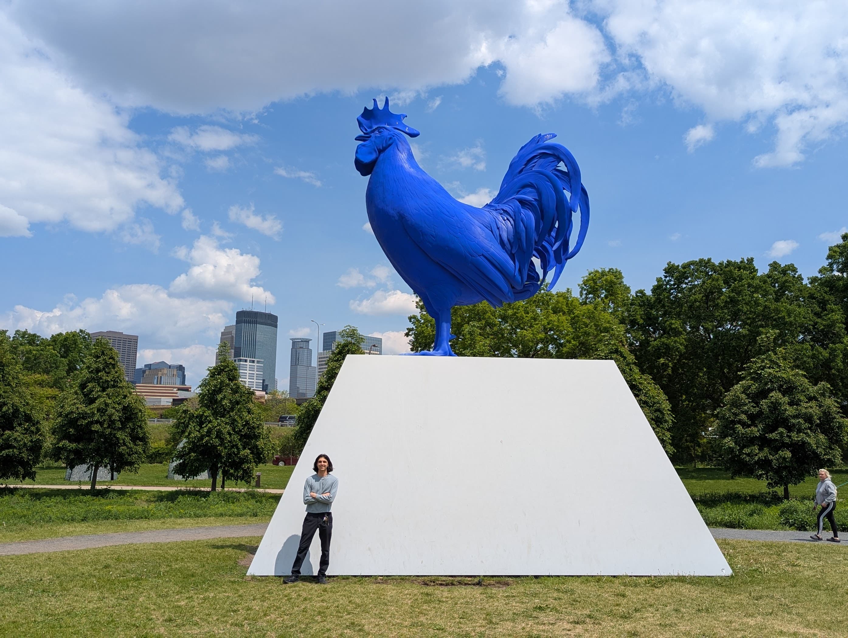 Hahn/Cock